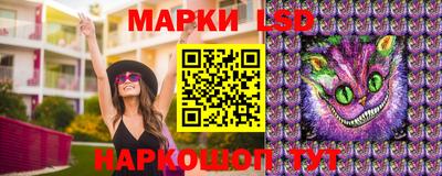 ПСИЛОЦИБИНОВЫЕ ГРИБЫ Шахты